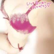 ヒメ日記 2025/03/14 17:21 投稿 ふわり マリン土浦本店