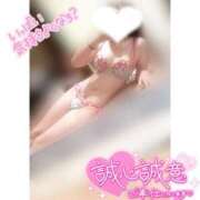 ヒメ日記 2025/03/20 15:23 投稿 ふわり マリン土浦本店