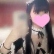 ヒメ日記 2025/04/19 19:31 投稿 ふわり マリン土浦本店