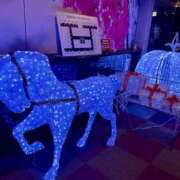 ヒメ日記 2026/01/18 15:00 投稿 けい★ 新潟風俗 Cherish Amulet