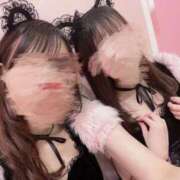 ヒメ日記 2025/02/26 17:58 投稿 品川 新宿人妻城