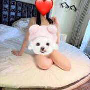 ヒメ日記 2025/04/08 12:32 投稿 品川 新宿人妻城