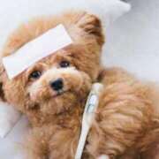 ヒメ日記 2025/03/17 18:34 投稿 希（のぞみ） ビッグバード