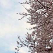 ヒメ日記 2025/04/07 06:24 投稿 希（のぞみ） ビッグバード