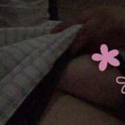 ヒメ日記 2025/04/08 21:44 投稿 希（のぞみ） ビッグバード