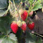 ヒメ日記 2025/04/16 08:34 投稿 希（のぞみ） ビッグバード