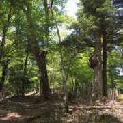 ヒメ日記 2025/05/06 14:04 投稿 希（のぞみ） ビッグバード