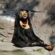 ヒメ日記 2025/05/21 19:44 投稿 希（のぞみ） ビッグバード