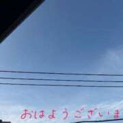 ヒメ日記 2025/06/02 07:34 投稿 希（のぞみ） ビッグバード