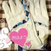 ヒメ日記 2025/06/09 07:44 投稿 希（のぞみ） ビッグバード