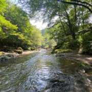 ヒメ日記 2025/09/20 09:14 投稿 希（のぞみ） ビッグバード