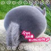 ヒメ日記 2025/09/30 22:44 投稿 希（のぞみ） ビッグバード