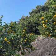 ヒメ日記 2025/11/12 21:54 投稿 希（のぞみ） ビッグバード