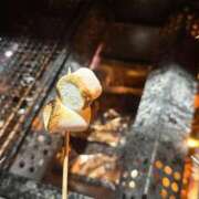 希（のぞみ） 仕事納め ビッグバード