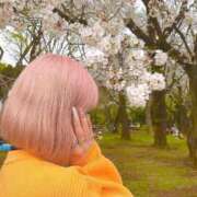 ヒメ日記 2025/04/04 08:34 投稿 【G】けい ウルトラセレブリティ