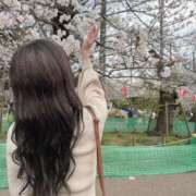 ヒメ日記 2025/04/05 18:04 投稿 【G】けい ウルトラセレブリティ