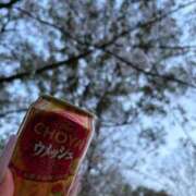 ヒメ日記 2025/04/06 16:14 投稿 【G】けい ウルトラセレブリティ