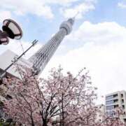 ヒメ日記 2025/04/16 13:34 投稿 【G】けい ウルトラセレブリティ