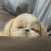 ヒメ日記 2025/07/27 11:14 投稿 【G】けい ウルトラセレブリティ