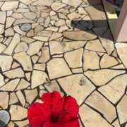 ヒメ日記 2025/09/07 15:27 投稿 【G】けい ウルトラセレブリティ