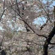 ヒメ日記 2026/03/29 17:24 投稿 【G】けい ウルトラセレブリティ