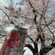 ヒメ日記 2026/03/29 18:50 投稿 【G】けい ウルトラセレブリティ