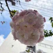 ヒメ日記 2026/04/06 15:04 投稿 【G】けい ウルトラセレブリティ