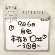 ヒメ日記 2025/09/06 21:48 投稿 橋本麻友 こあくまな熟女たち岩国店(KOAKUMAグループ)