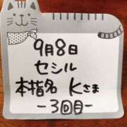ヒメ日記 2025/09/09 13:17 投稿 橋本麻友 こあくまな熟女たち岩国店(KOAKUMAグループ)