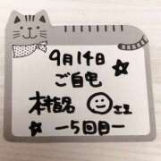 ヒメ日記 2025/09/15 01:28 投稿 橋本麻友 こあくまな熟女たち岩国店(KOAKUMAグループ)