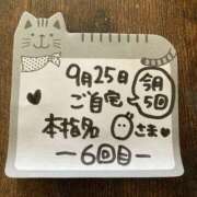 ヒメ日記 2025/09/26 16:16 投稿 橋本麻友 こあくまな熟女たち岩国店(KOAKUMAグループ)