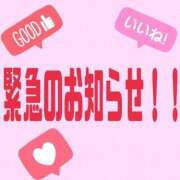 ヒメ日記 2025/04/04 12:58 投稿 白井琴音 五十路マダム 岐阜店