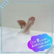 ヒメ日記 2025/04/14 02:08 投稿 白井琴音 五十路マダム 岐阜店