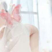 ヒメ日記 2025/06/21 00:58 投稿 白井琴音 五十路マダム 岐阜店