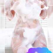 ヒメ日記 2026/02/07 08:54 投稿 白井琴音 五十路マダム 岐阜店