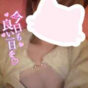 ヒメ日記 2025/11/19 15:02 投稿 ひまり 新宿11チャンネル