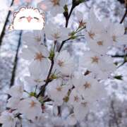 ヒメ日記 2026/04/04 14:01 投稿 るか ラブ＆ナース