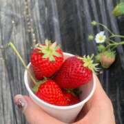 ヒメ日記 2025/04/30 16:04 投稿 木村らな 断りきれない美人マッサージ嬢たち