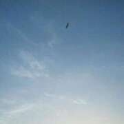 ヒメ日記 2025/05/16 07:30 投稿 うた ぽちゃSPA