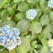 ヒメ日記 2025/06/02 07:30 投稿 うた ぽちゃSPA