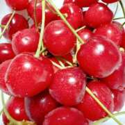 ヒメ日記 2025/06/07 07:30 投稿 うた ぽちゃSPA