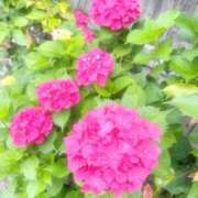 ヒメ日記 2025/06/13 07:15 投稿 うた ぽちゃSPA