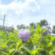 ヒメ日記 2025/06/23 07:15 投稿 うた ぽちゃSPA