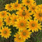 ヒメ日記 2025/07/04 07:00 投稿 うた ぽちゃSPA