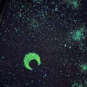 ヒメ日記 2025/08/21 07:15 投稿 うた ぽちゃSPA