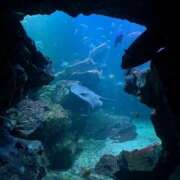 ヒメ日記 2025/09/02 09:04 投稿 うた ぽちゃSPA