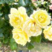 ヒメ日記 2025/09/08 07:36 投稿 うた ぽちゃSPA