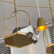 ヒメ日記 2025/08/14 19:59 投稿 ひな 白い巨乳