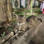 ヒメ日記 2025/08/16 16:29 投稿 ひな 白い巨乳