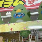 ヒメ日記 2025/08/28 14:39 投稿 ひな 白い巨乳